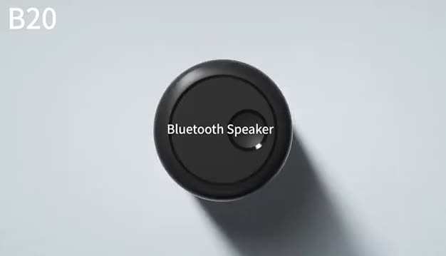 Pelios B20 2-in-1 Bluetooth Speaker & Earbuds