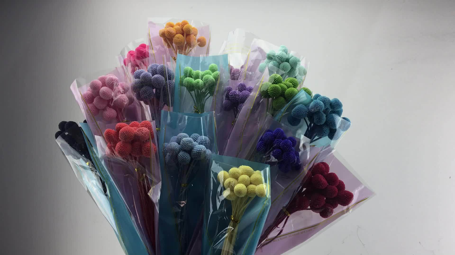 Beautiful Multicolor Real Fresh Eternal Forever Preserved Golden Ball Flowers For Home