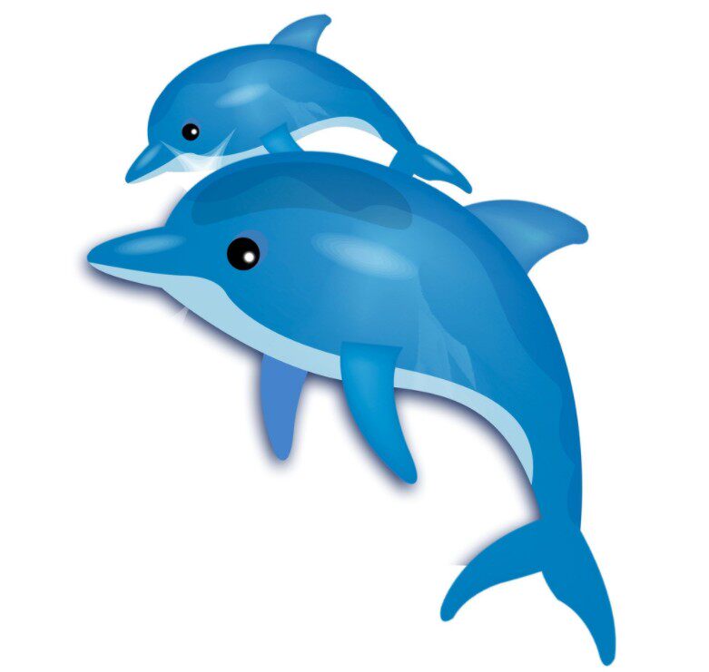 海豚办公设备