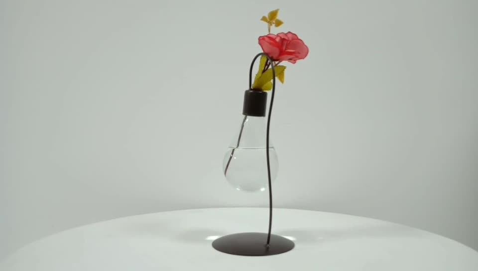 Home Decor Hanging Bulb Glass Plant Terrarium Container Transparent