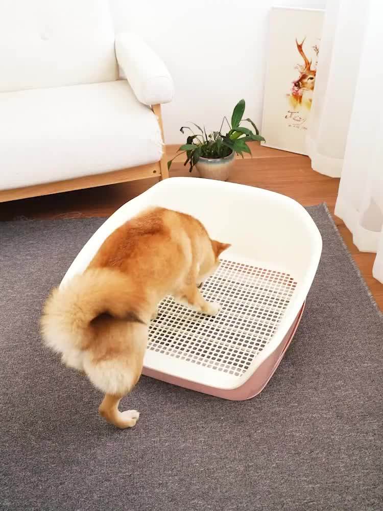 2020 New Type Dog Potty Pad Large Stool Artifacti Indoor Pet Toilets