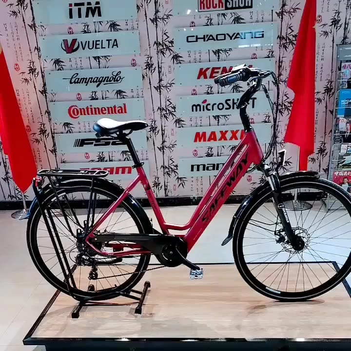 Fashional Ebike Electric Bicycle Power Lithium Battery City Bike For