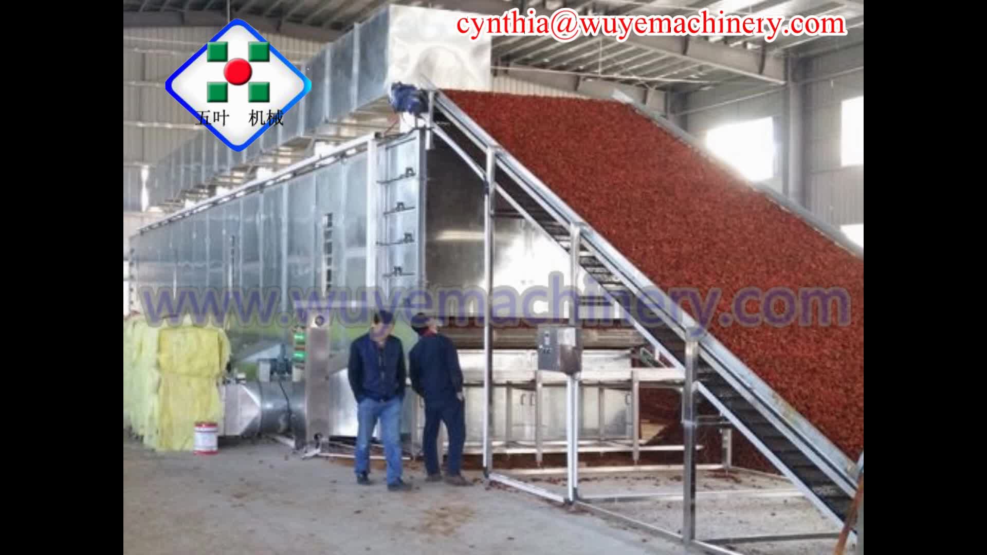 Onion Processing Machine Drying Onion Dehydrator,Onion Drying Machine