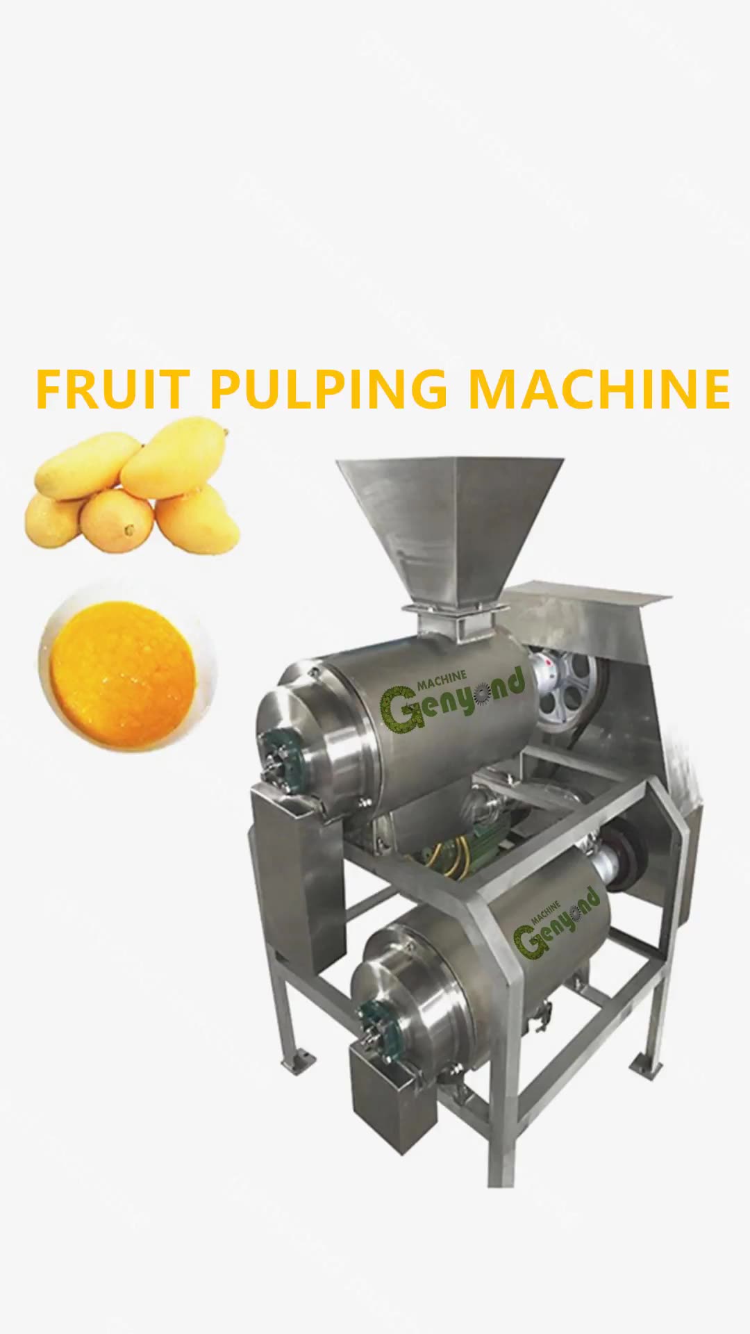 Stainless Steel Tomato Paste Processing Machine Mango Pulper Fruit Puree Vegetable Pulp Making