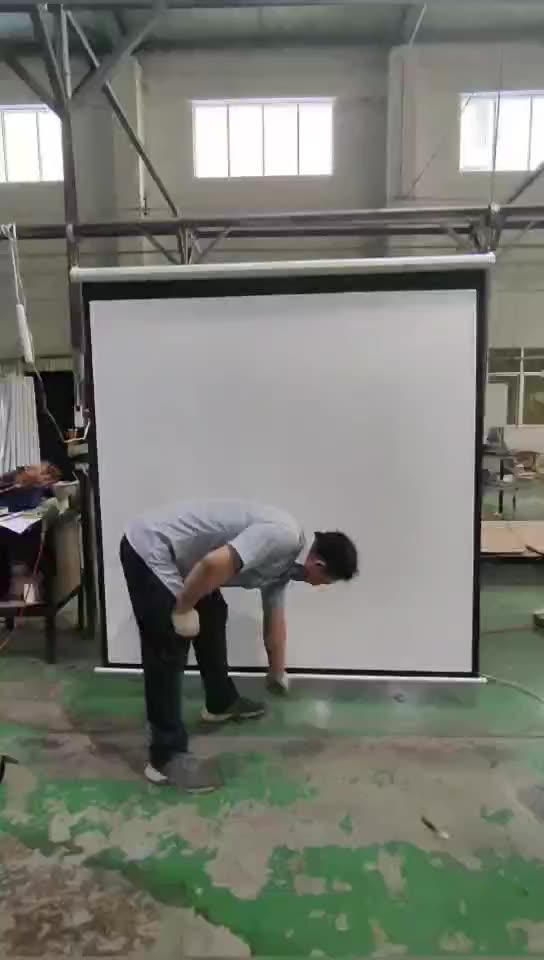 Telon Autolocking Manual Pull Down Projector Screen 169 Selflocking