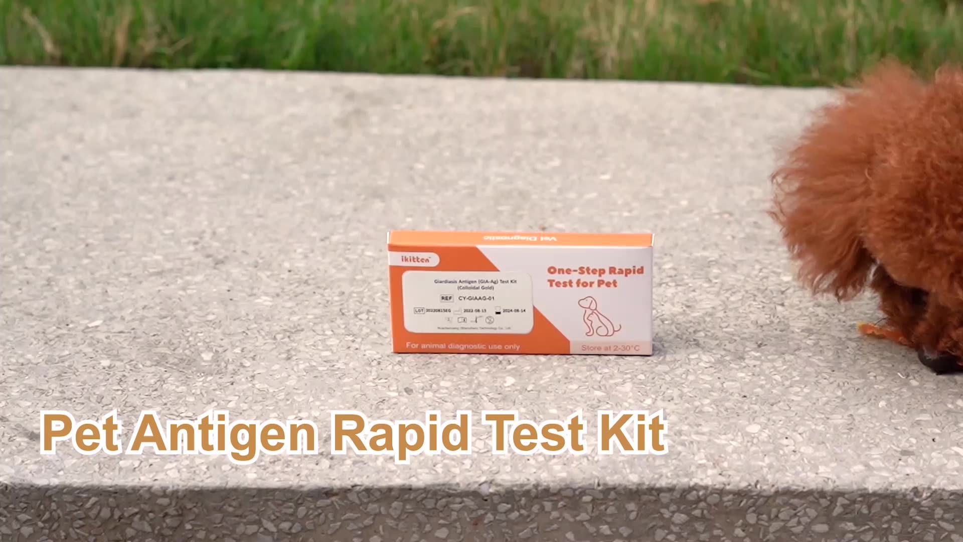 Iclean Disposable Homeuse Dog Rapid Test Cdv Cpv Test Kit Canine