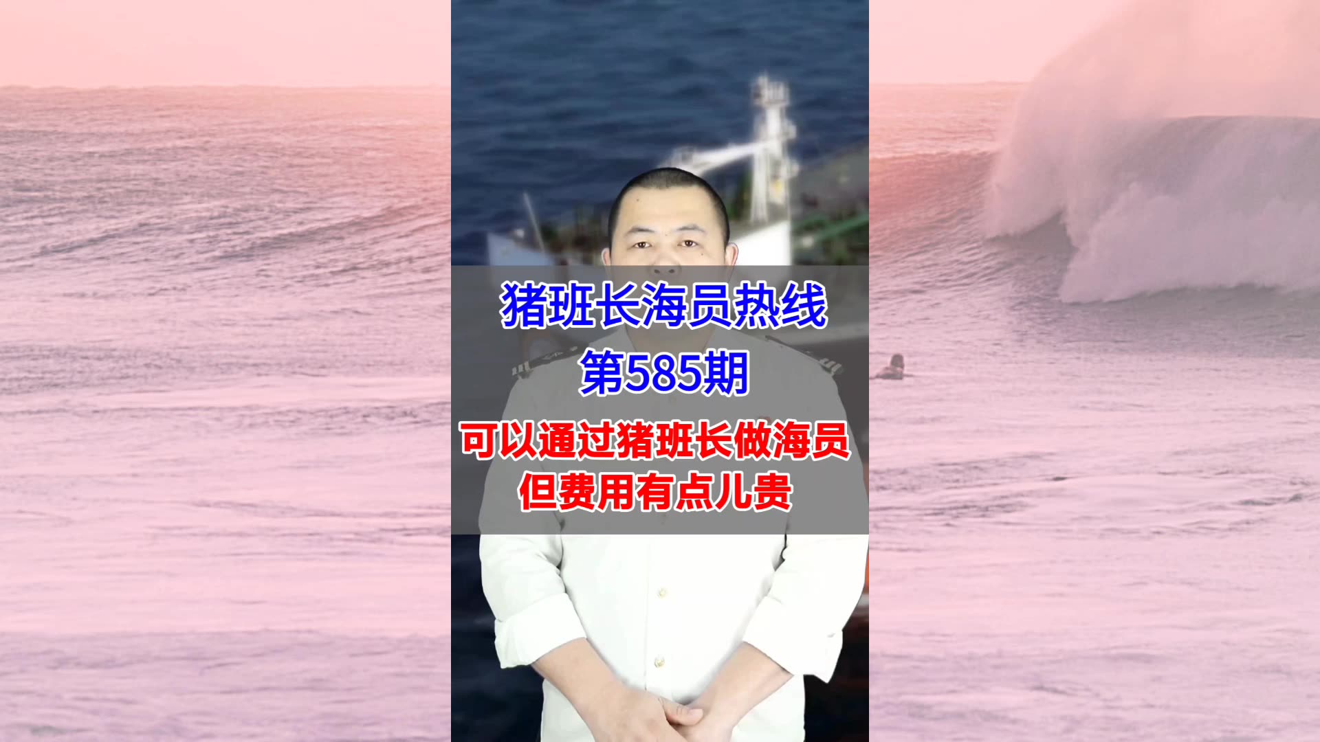 【猪班长海员热线_第585期】可以通过猪班长做海员，但费用有点儿贵
