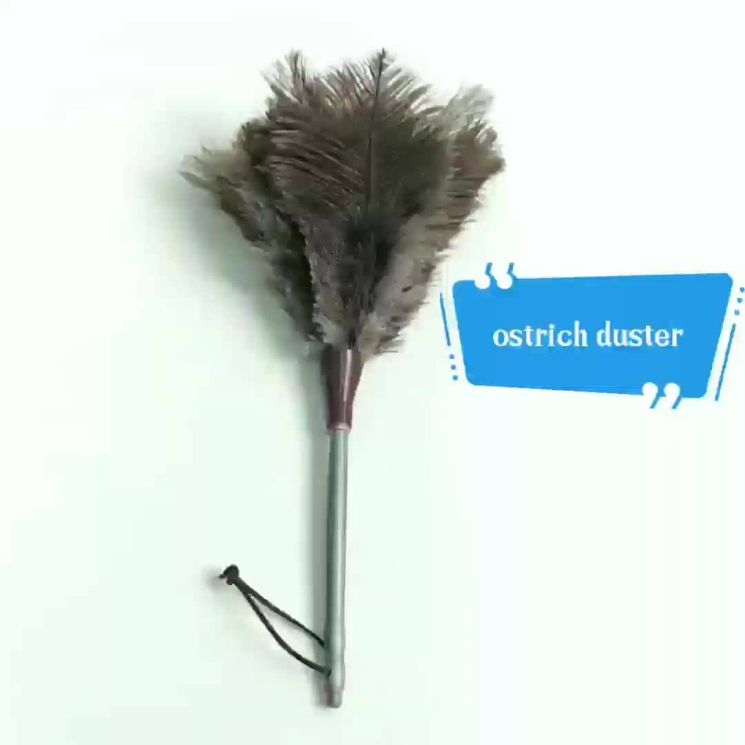 Esd Cheap Natural Ostrich Car Feather Duster With Plastic Handle Buy