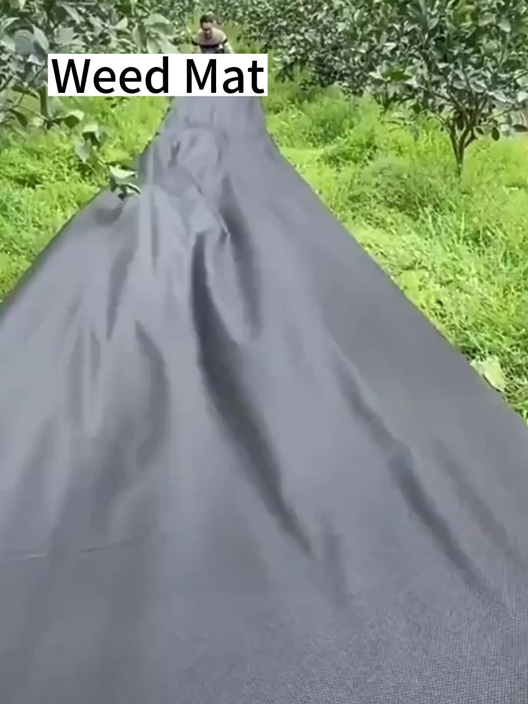 Ground Cover Control Greenhouse Weeding Seed Sheet Antigrass Barrier