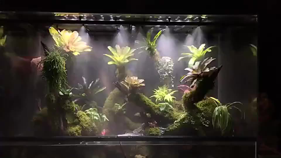 Reptile Fogger Silent Pump Misting Spray System Kit Nebulizer For Plant