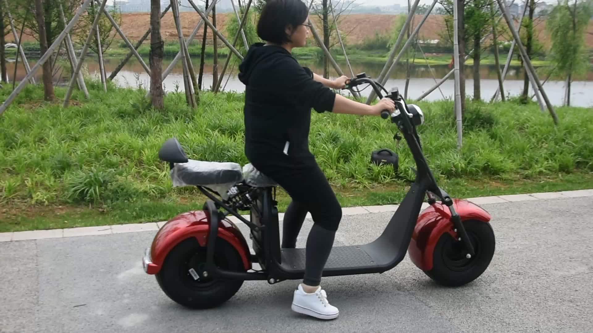 12ah Removable Battery Cheap Price Citycoco 1000w 2 Wheel Electric