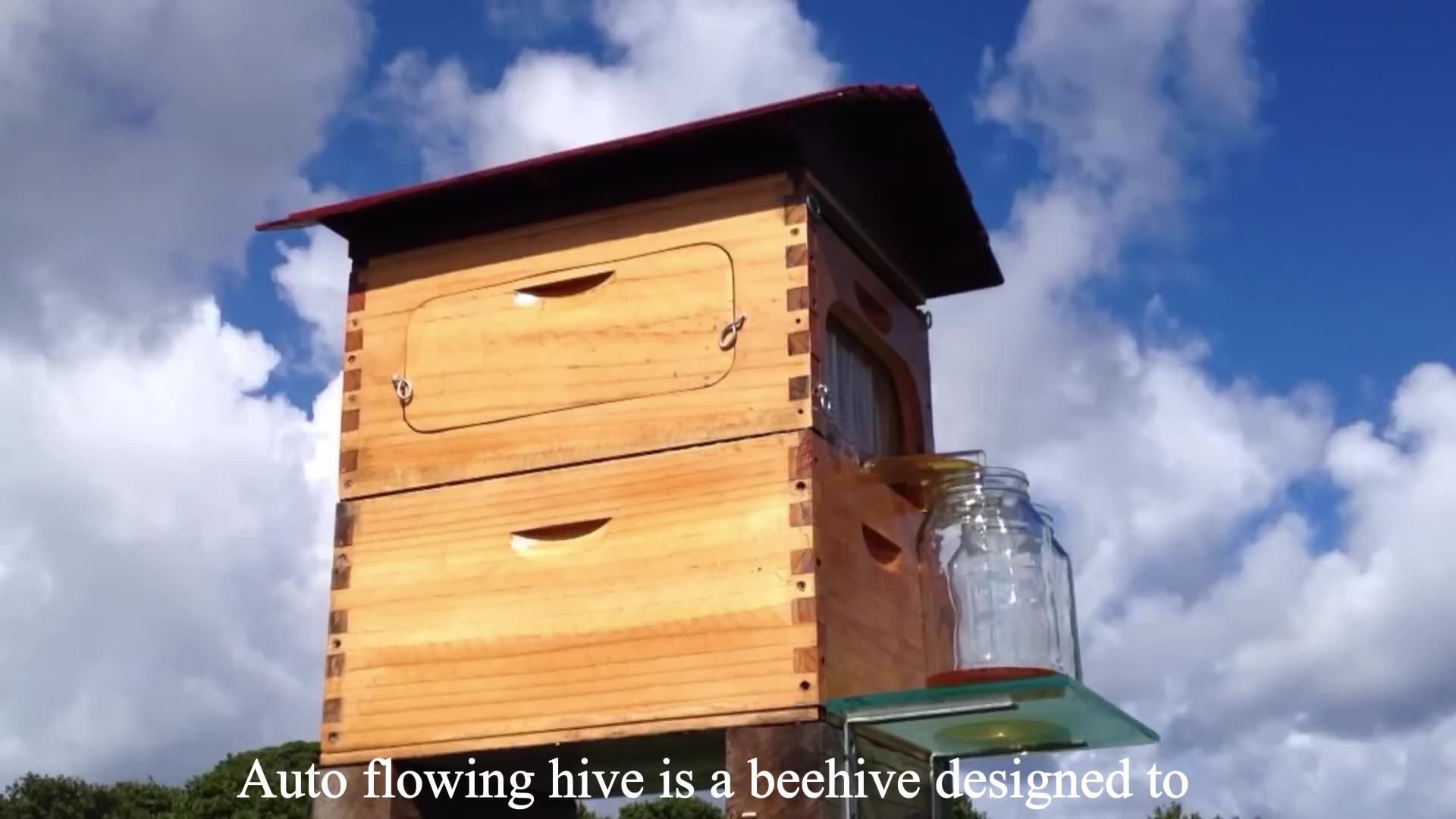 Роевня ловушка. Красивый улей. Улей борть колода. Шалагинский улей. Колодное пчеловодство колодный мёд.