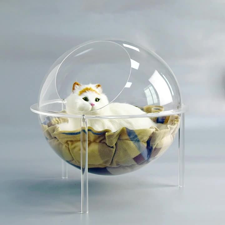 Space Capsule Cat Litter Ball Transparent Pet Supplies Acrylic Cat