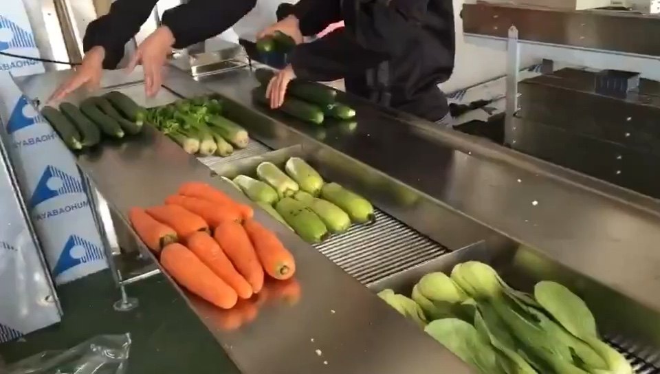 Automatic Fresh Fruit And Vegetable Packaging Machine With Tray Buy