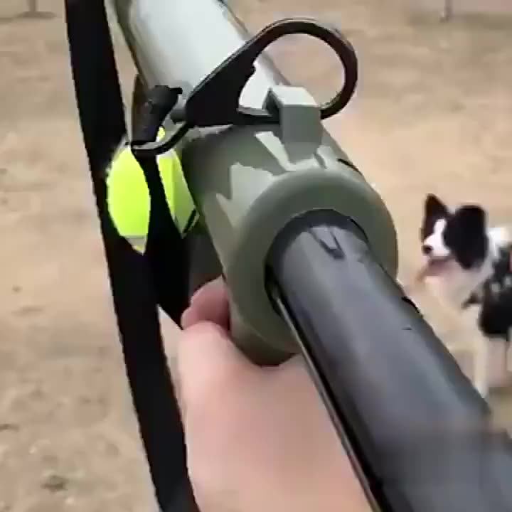Dog Toys Ball Launcher Lanzador De Pelotas Interactive Pet Thrower Gun