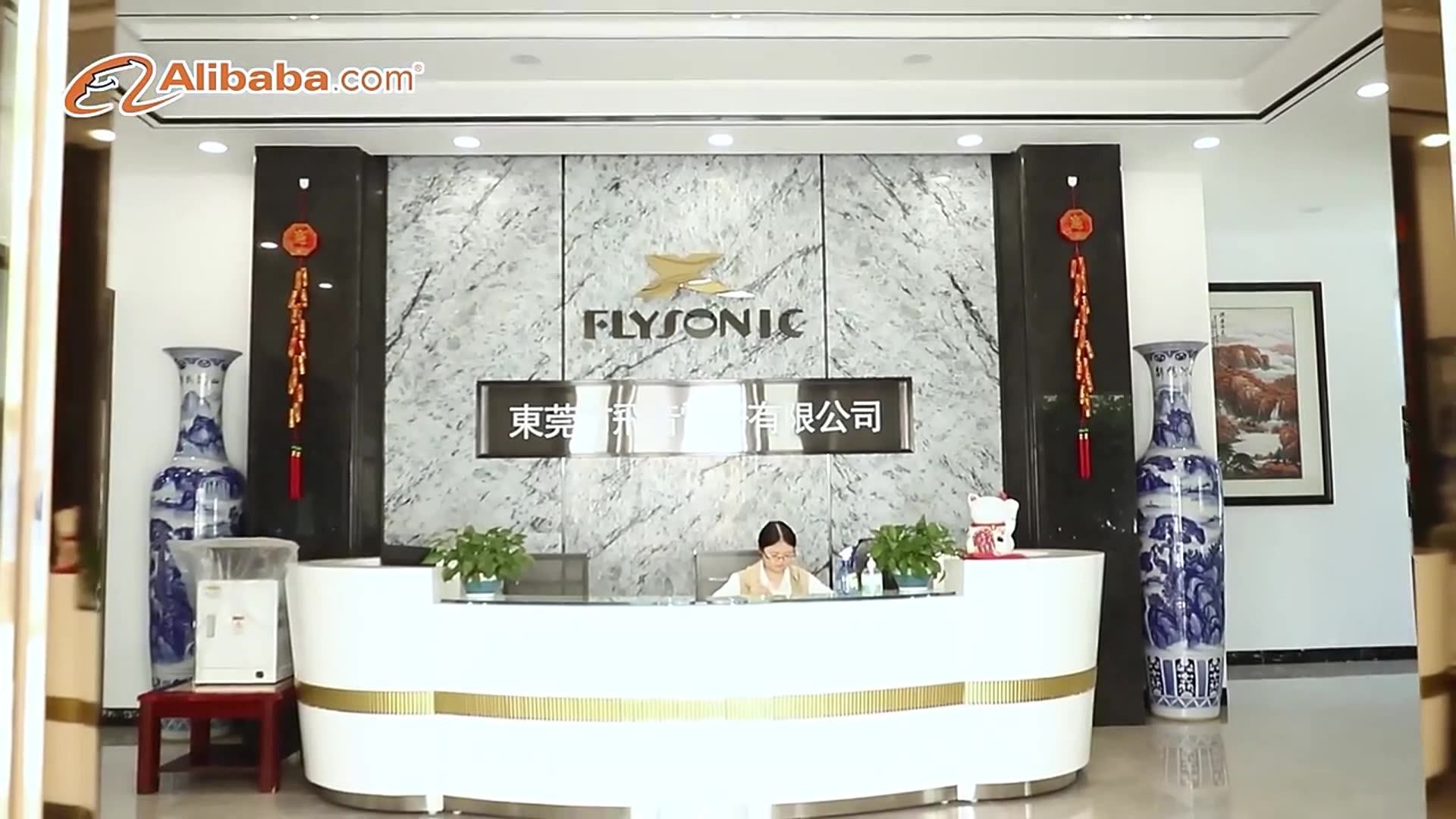 Flysonic Applicable To 15 European Brands Odm Services Size