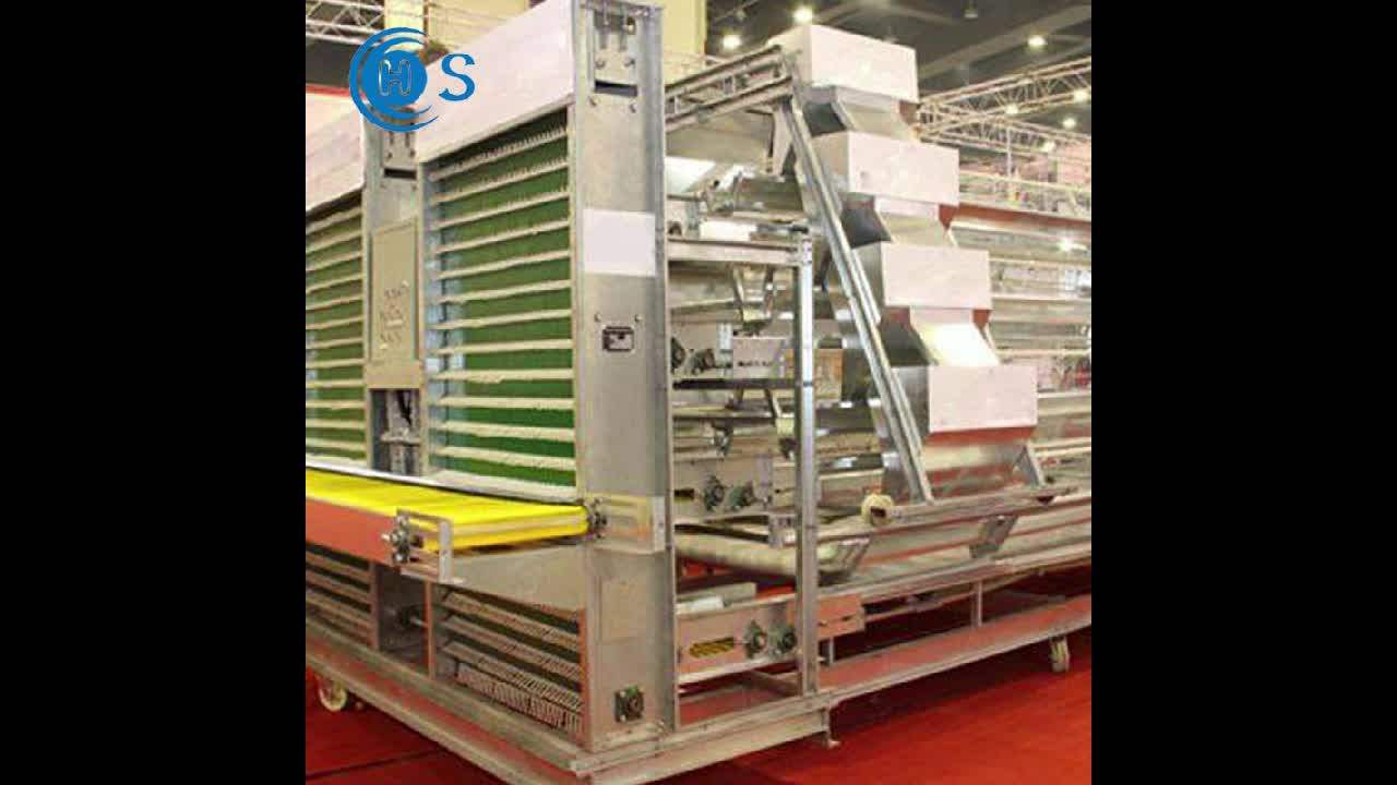 Egg Laying Chicken Coop/battery Of Breeding Bird/pakistan Poultry Farm