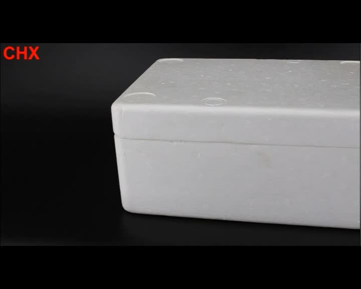 Customized Eps White Styrofoam Foam Cooler Ice Box For Sale Buy Styrofoam Box,Customized