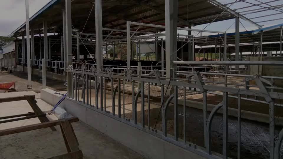 Flat Pack Open Side Poultry Shed Chicken House In Pakistan Buy Flat