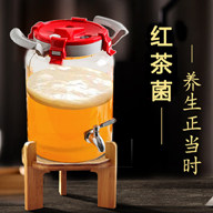 养生菌