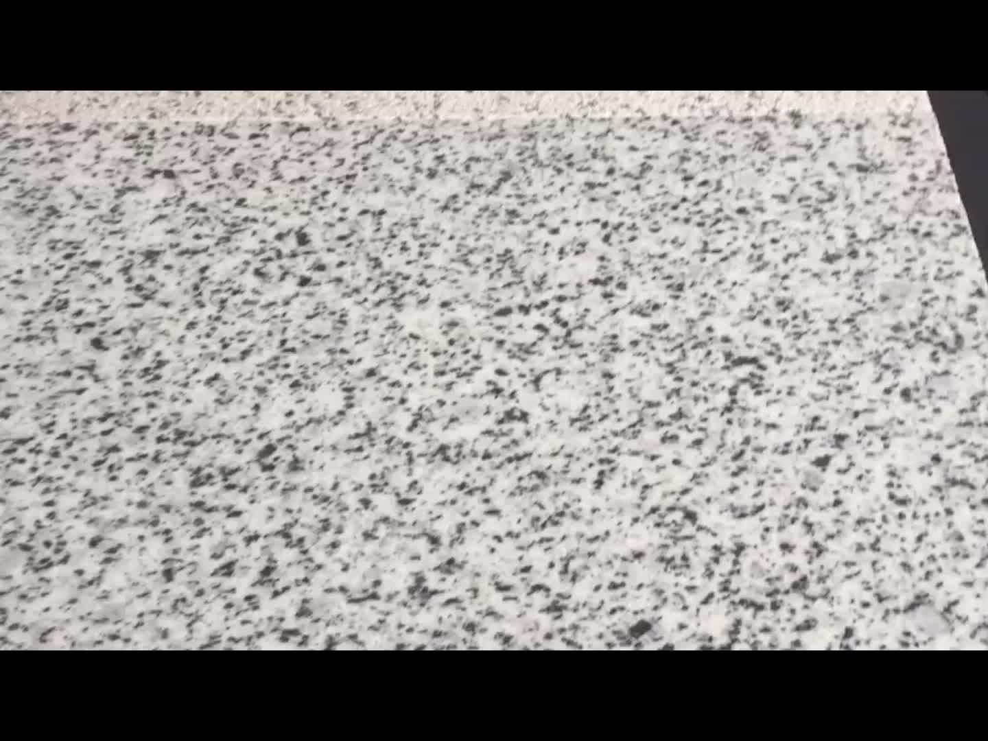 Egypt White Halayeb Granite 500mm*500mm Paving Slabs With Black Spots