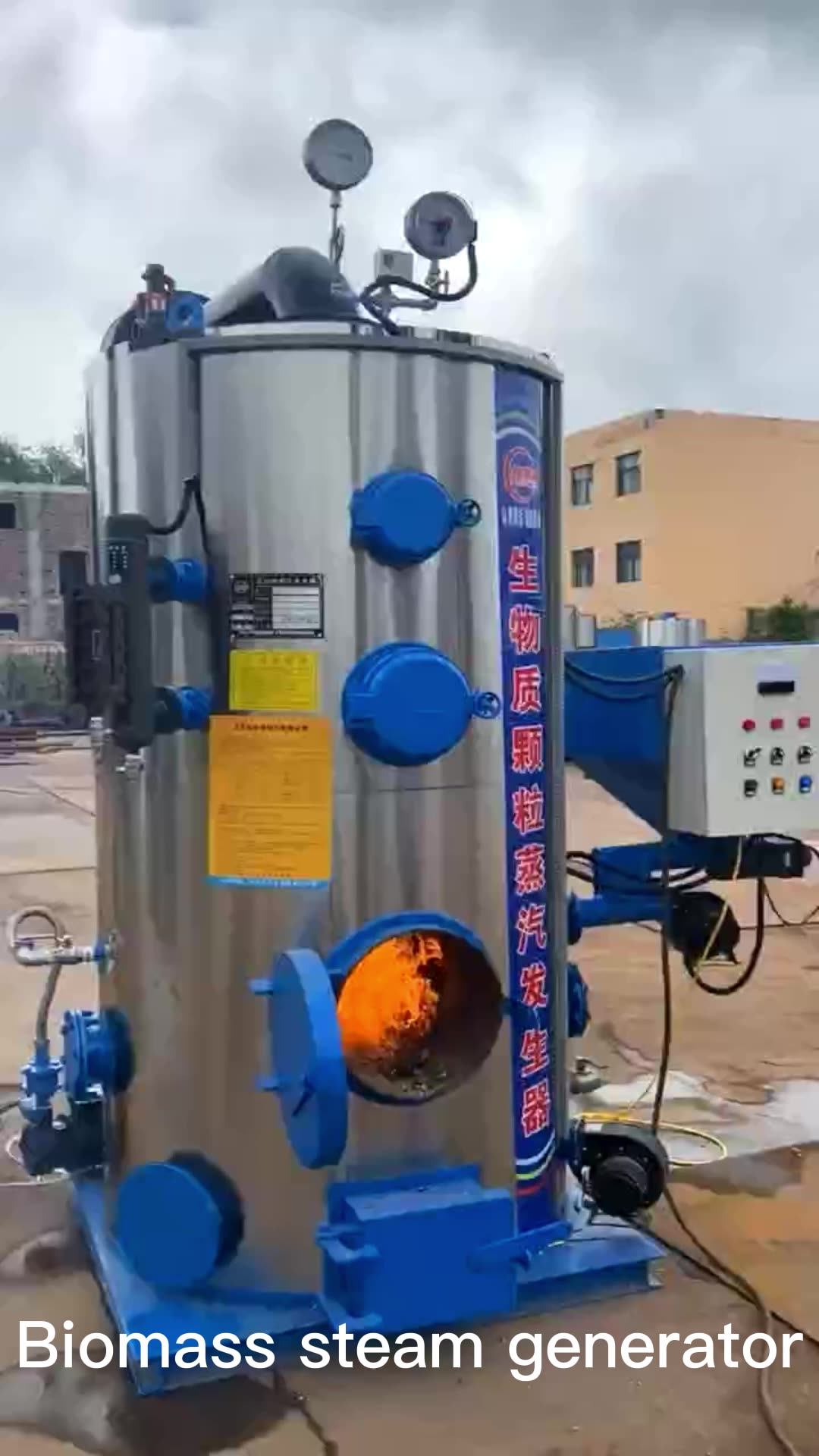 Factory Prices Automatic Control 200kg 500kg/h Biomass Vertical Steam