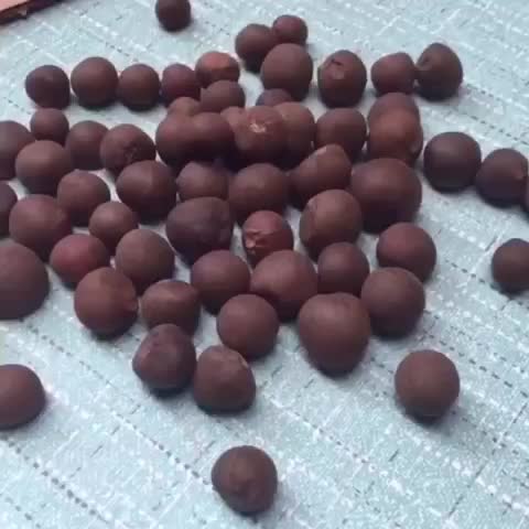 Семена Макадамии Купить Для Посадки