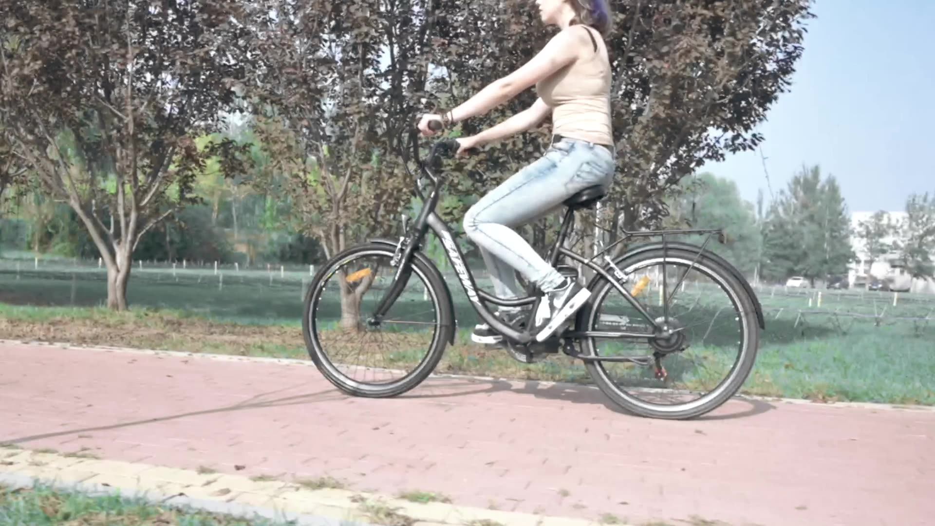 aluminum city bike