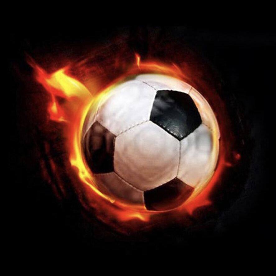 帝斯蓝卡运动之家