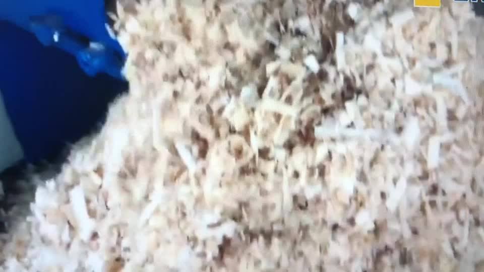 Wood Shavings Compress Machine/clear Plastic Bags For Pecan Wood Chips