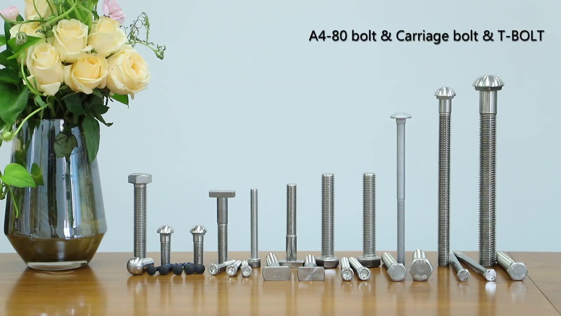Tapón De Montaje Hexagonal AN6 – Acero, Junta Tórica, Presión Máxima 4000 Psi, Para Vehículos