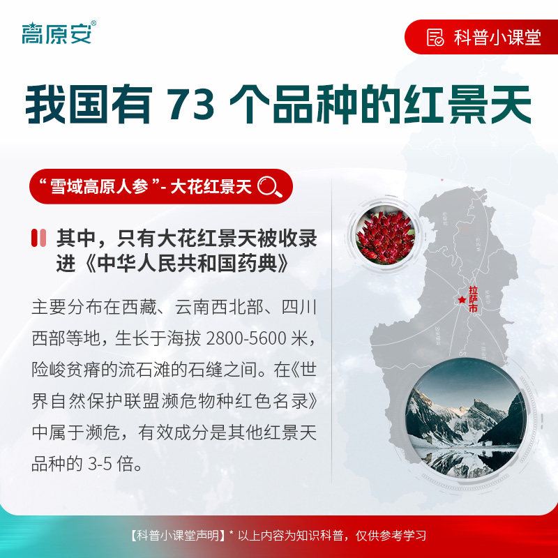 高原安红景天胶囊为何成为高原旅行者的必备良药？-红景天-淘宝好物网