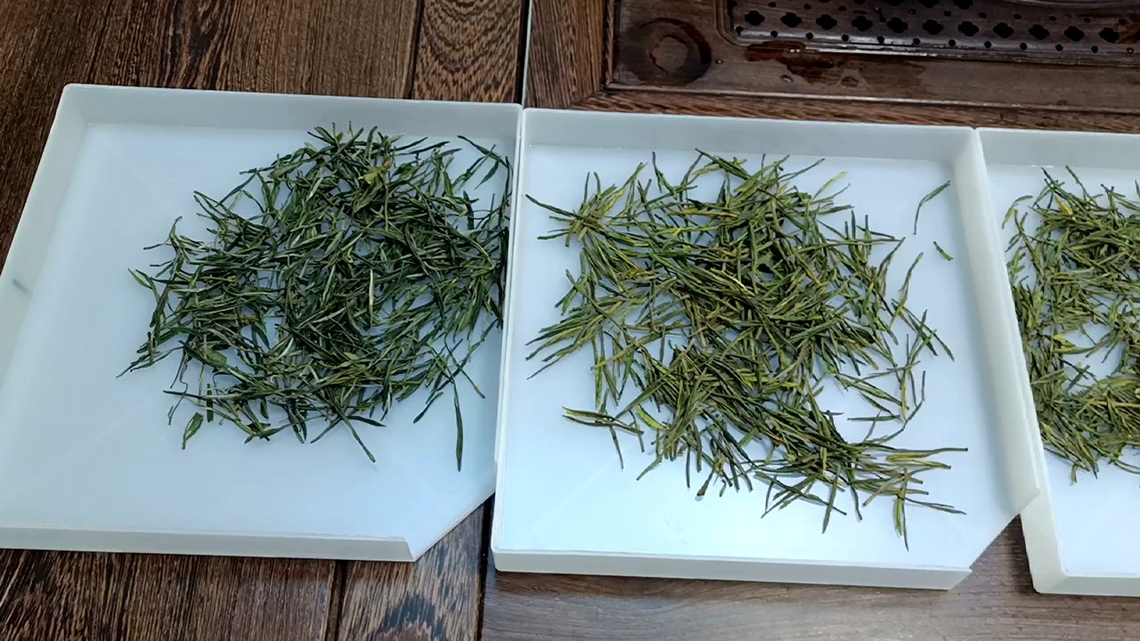 Early Spring Harvest Superior Quality Chinese Tea Biluochun Tea Green ...