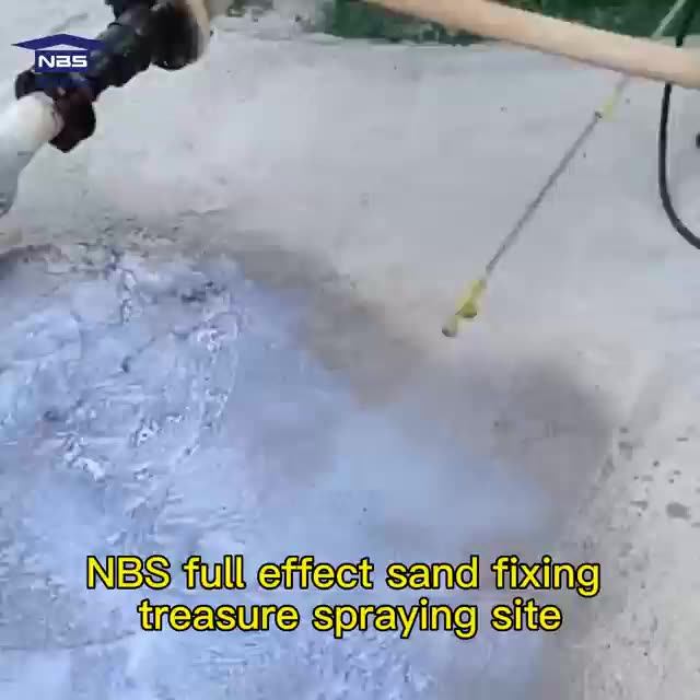 High Permeability Cement Based Spray Concrete Reinforcement Waterproof Coating Material De