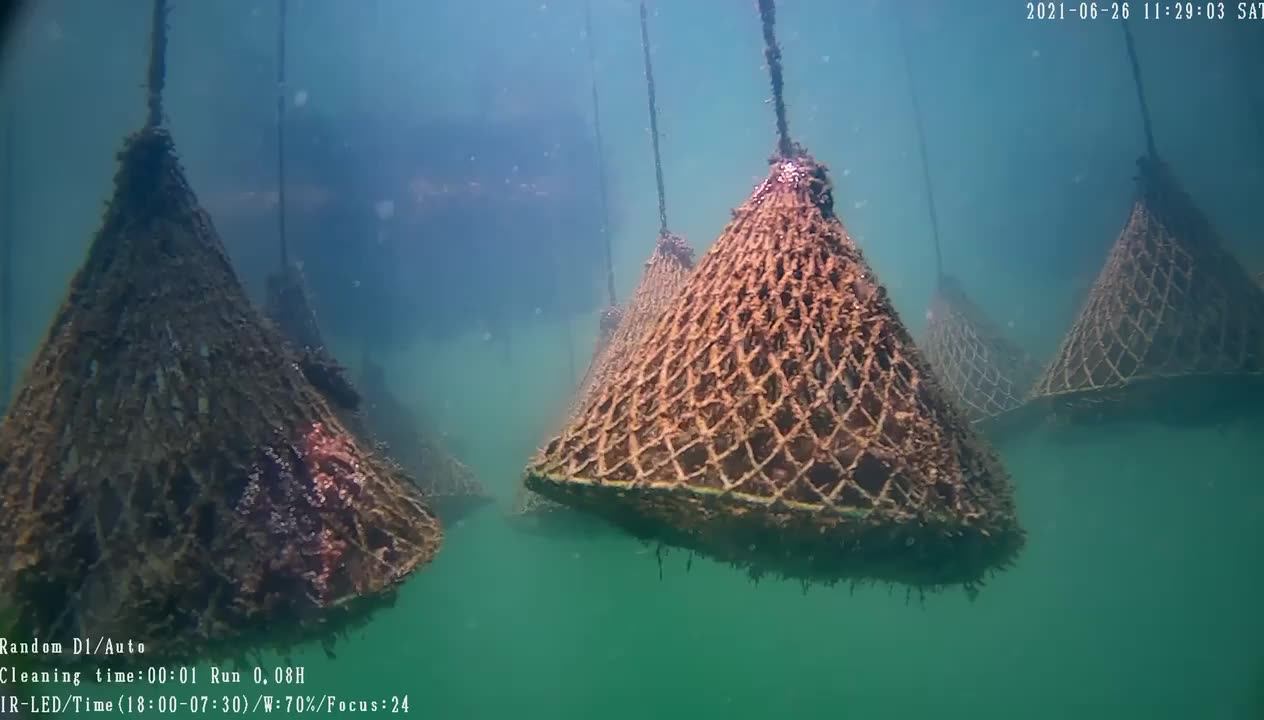 The Best Selling Underwater Visual Camera 2023 Portable High Definition