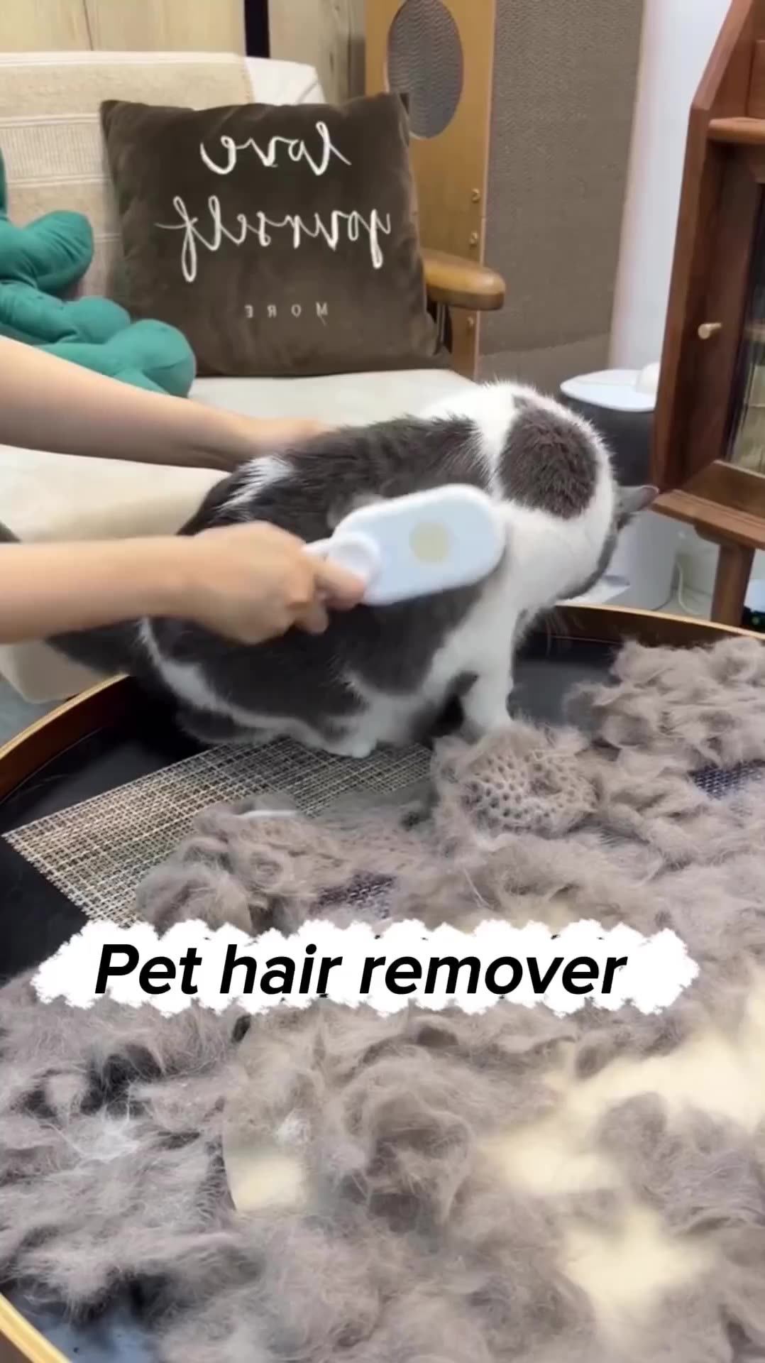 3 In 1 Cat Dog Hair Cleaner Electric Usb Water Spray Steam Comb Cat