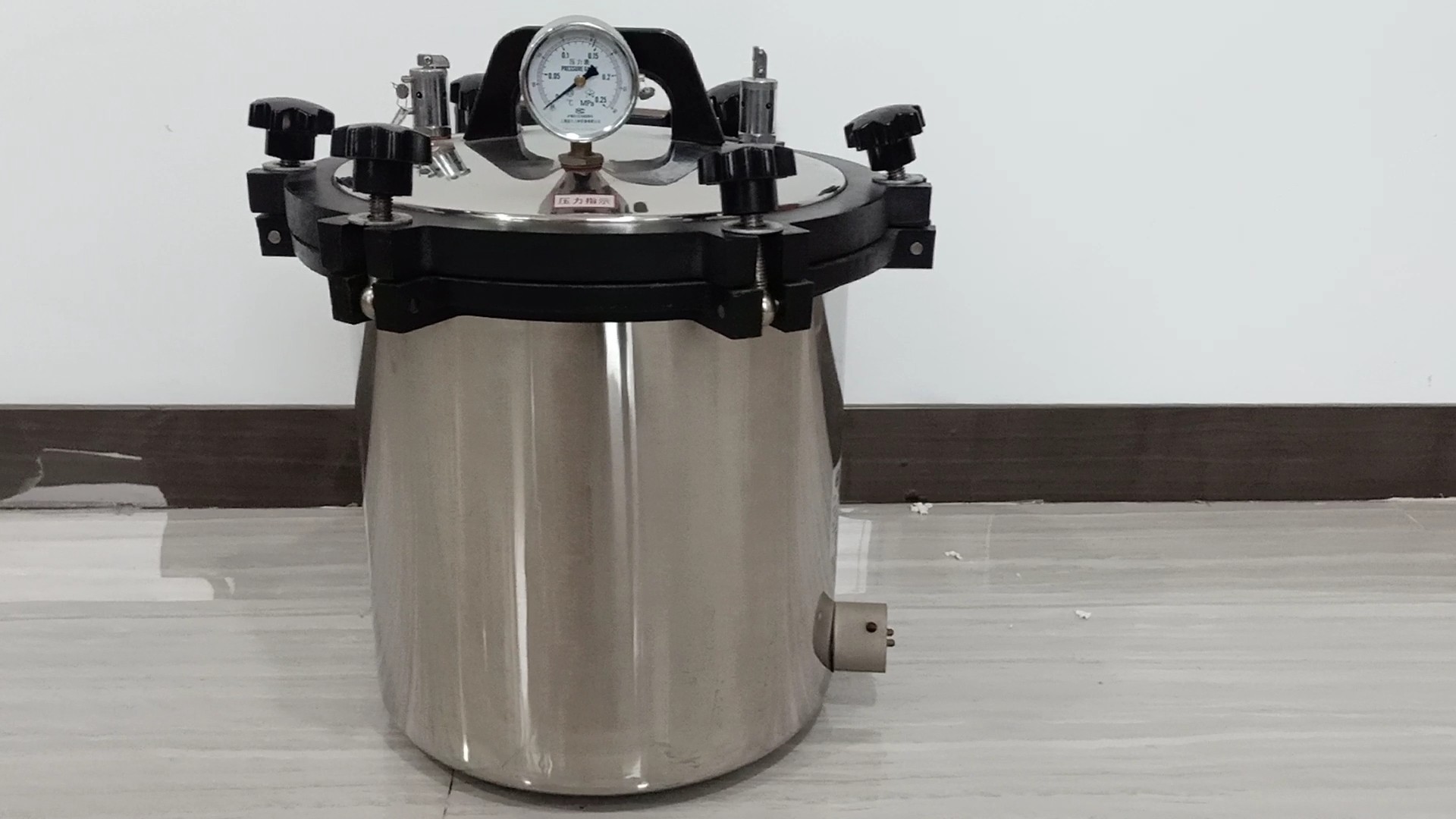 Hot Sale 18l Yx18ldj/24ldj Portable Pressure Steam Autoclave