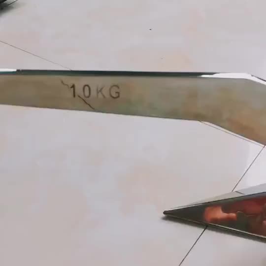 Stainless Steel Delta 10kg Anchor For Inflatable Boat Buy Stainless