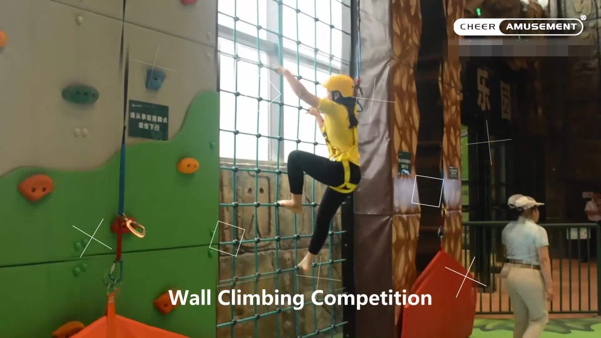 Cheer Amusement Creative Indoor Playground Climbing Walls Soft/ Rock