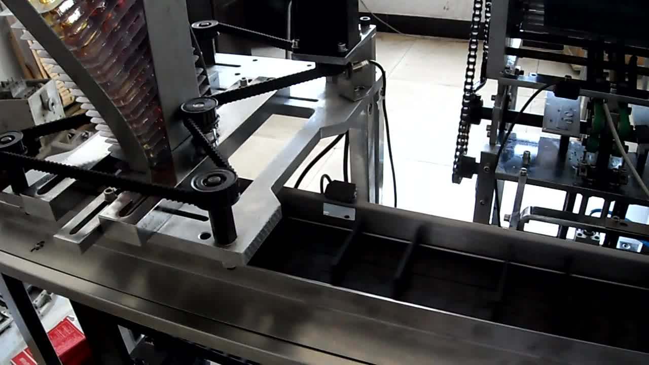 Zhw100 Automatic Blister Carton Packing Machine & Cartoning Machine