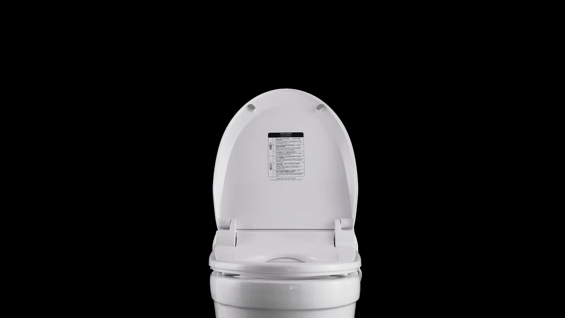 Intelligent Bathroom Automatic Wash Heated Seat Electric Bidet Smart