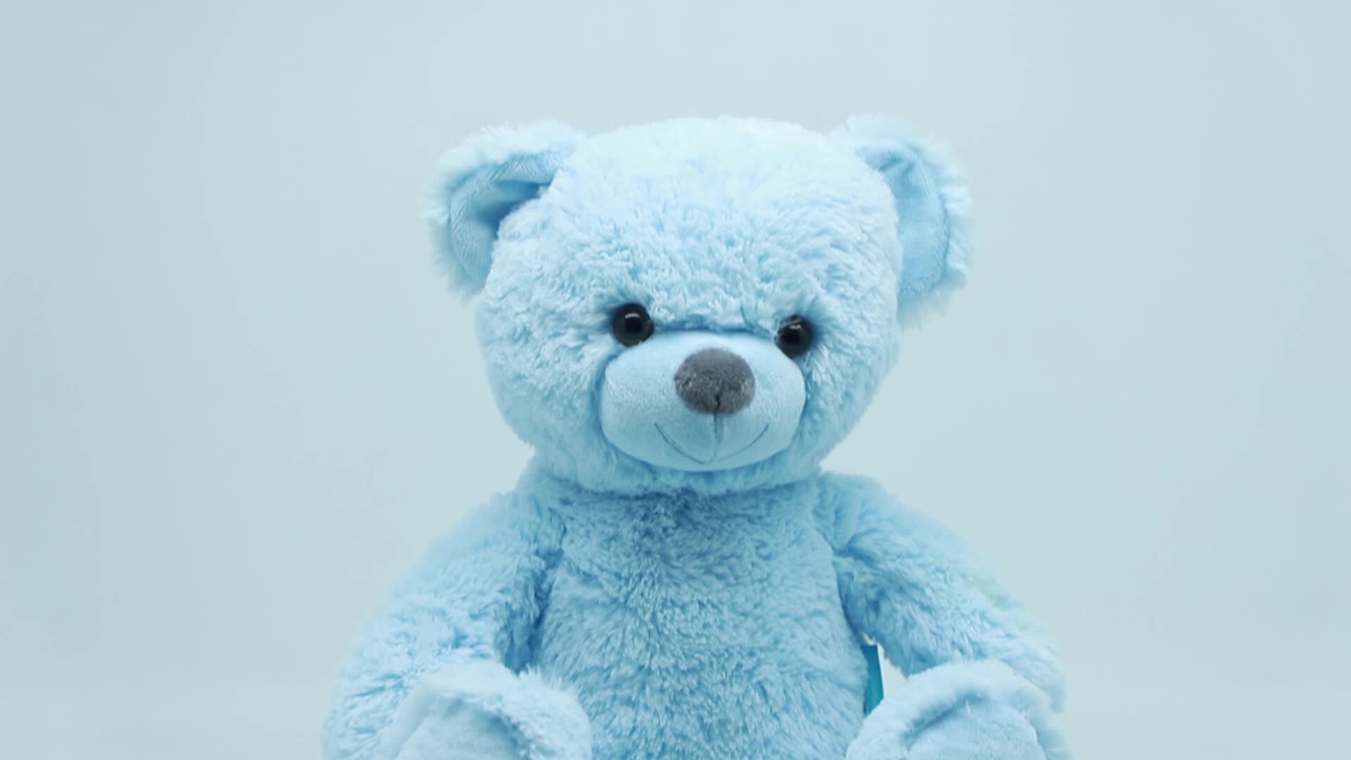 10 Inches Electric Musical Stuffed Animal Cute Soft Cartoon Bear Plush