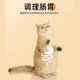 Mu Tian Poly cat toy cat molar stick, teasing cat stick, fight cat stick, kitten chewing lollipop, ໄມ້ແມວສັ່ນ, mint