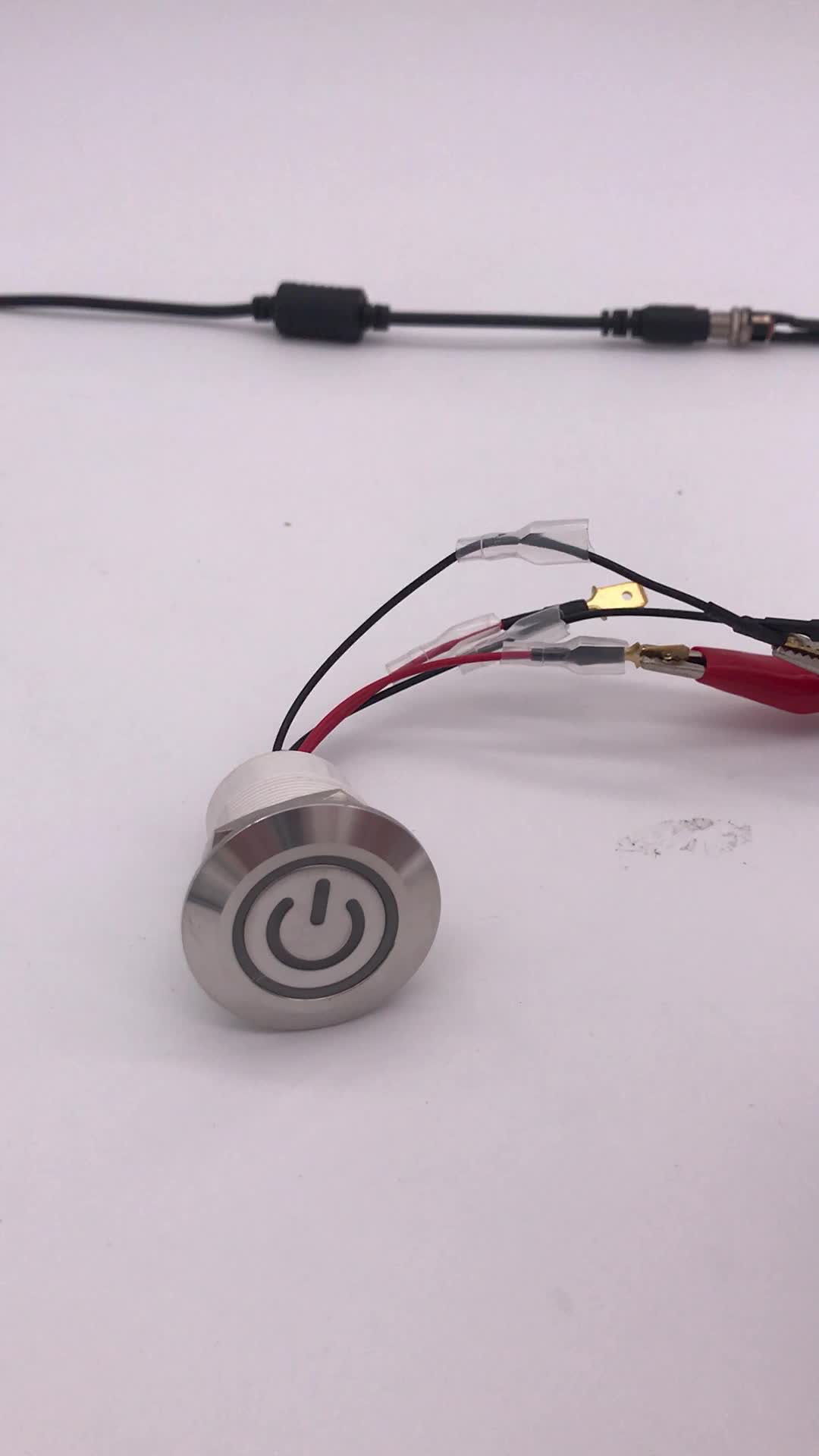 S.s.304 Engine Start Switch With Cables Dc12v/3a /with Blade Pins /push