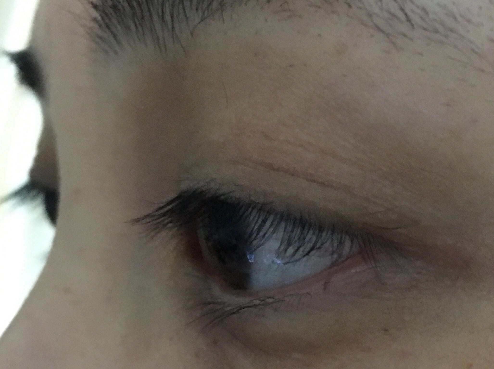 TALIKA睫毛滋养液什么牌子好还便宜，真实测评结论,第6张