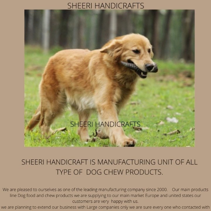 Are Buffalo Horns Safe For Dogs