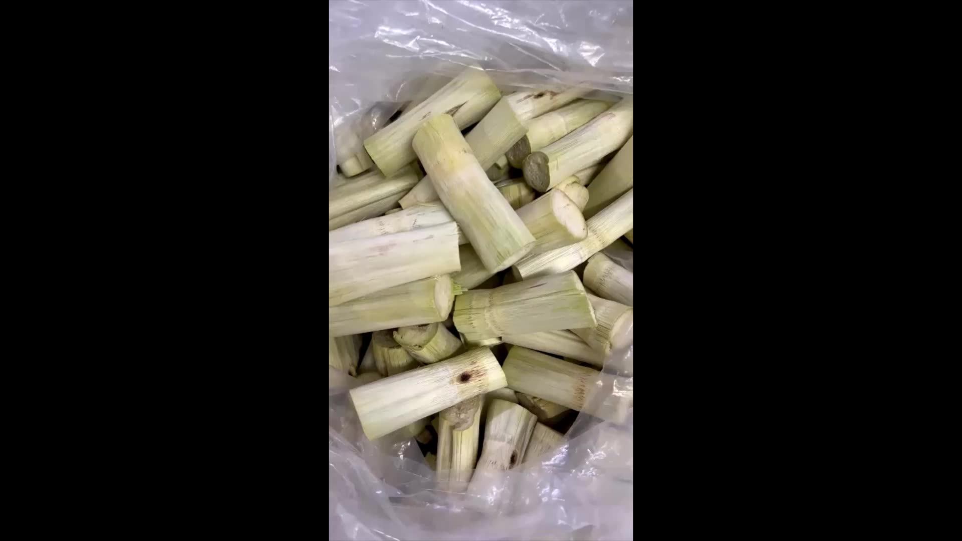 Small Animal Snacks Sweet Sugarcane Chew Toy For Hamster Guinea Pigs