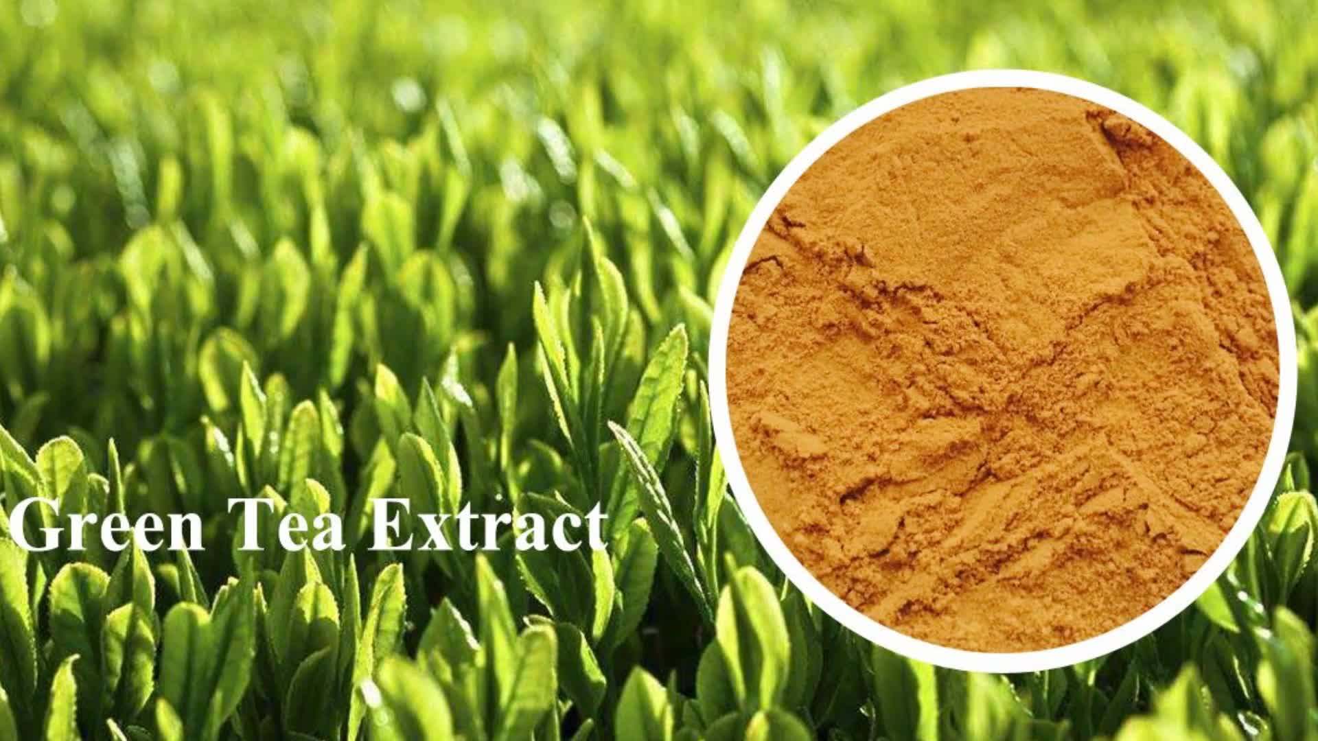 Fzbiotech Bulk Best Oyster Shell Extract Powder Oyster Peptide Buy