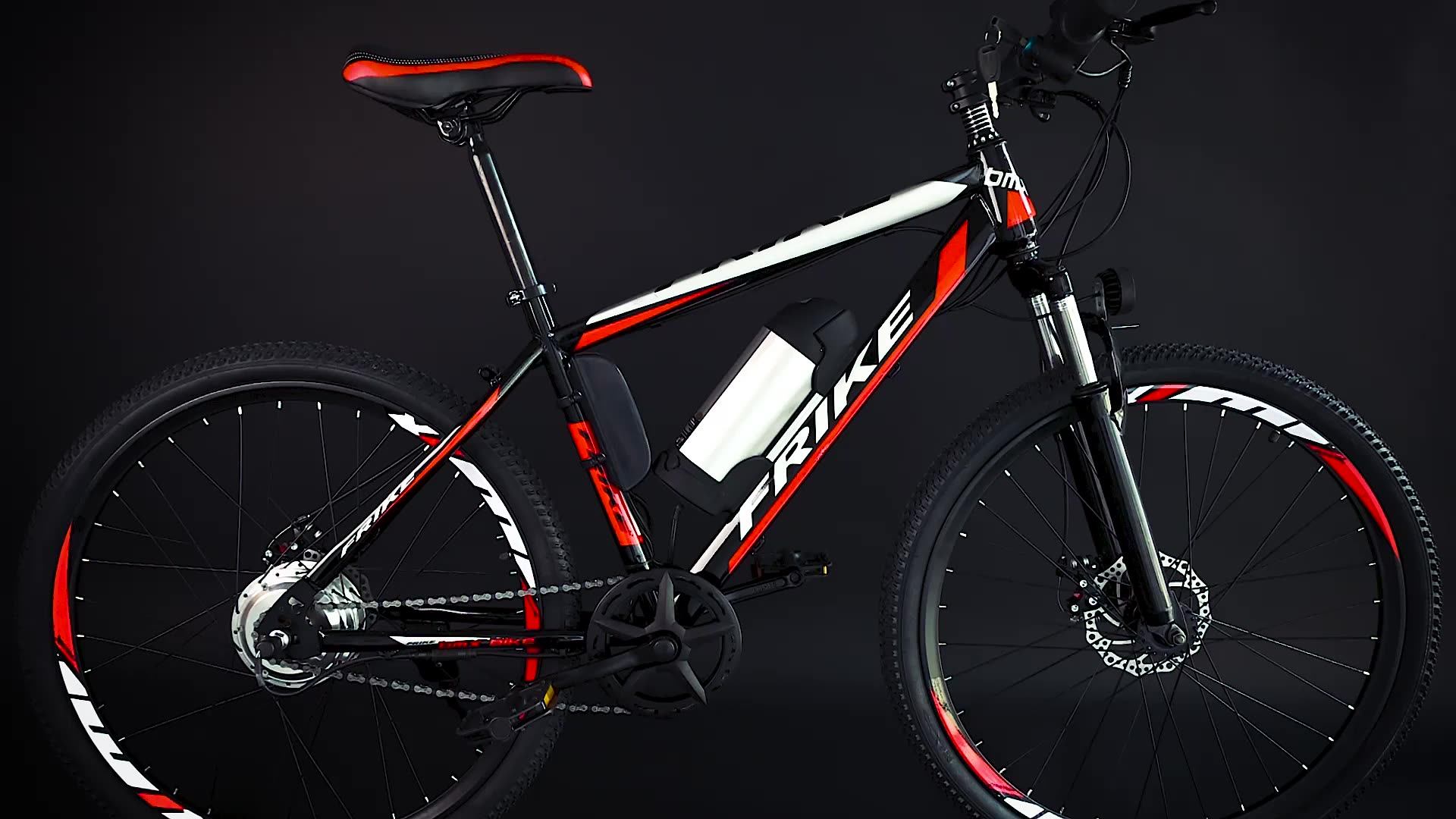 Frike 36/48vcheap Electric Bicycle With Pedals Indian Electric Bicycle