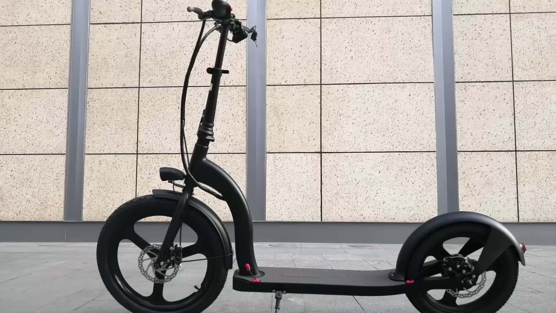 2020 New 36v 250w Big Wheels Folding Electric Scooter For Adults Buy